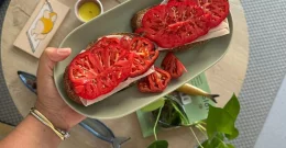 Mediteranska prehrana bogatejša za še eno prednost! Razkrivamo skrivnost, ki jo obožujejo tudi zvezdniki