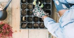 Ideje za mini vrt na balkonu ali terasi: Ta zelišča, sadje in zelenjava so idealni za sajenje v marcu!