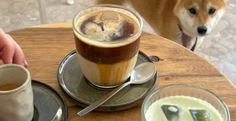 Hojicha čaj postaja bolj priljubljen napitek kot matcha.