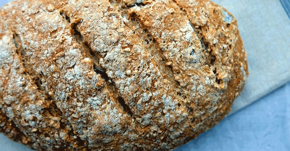 Kruh iz ajdove moke - kruh iz živila ki zdravi